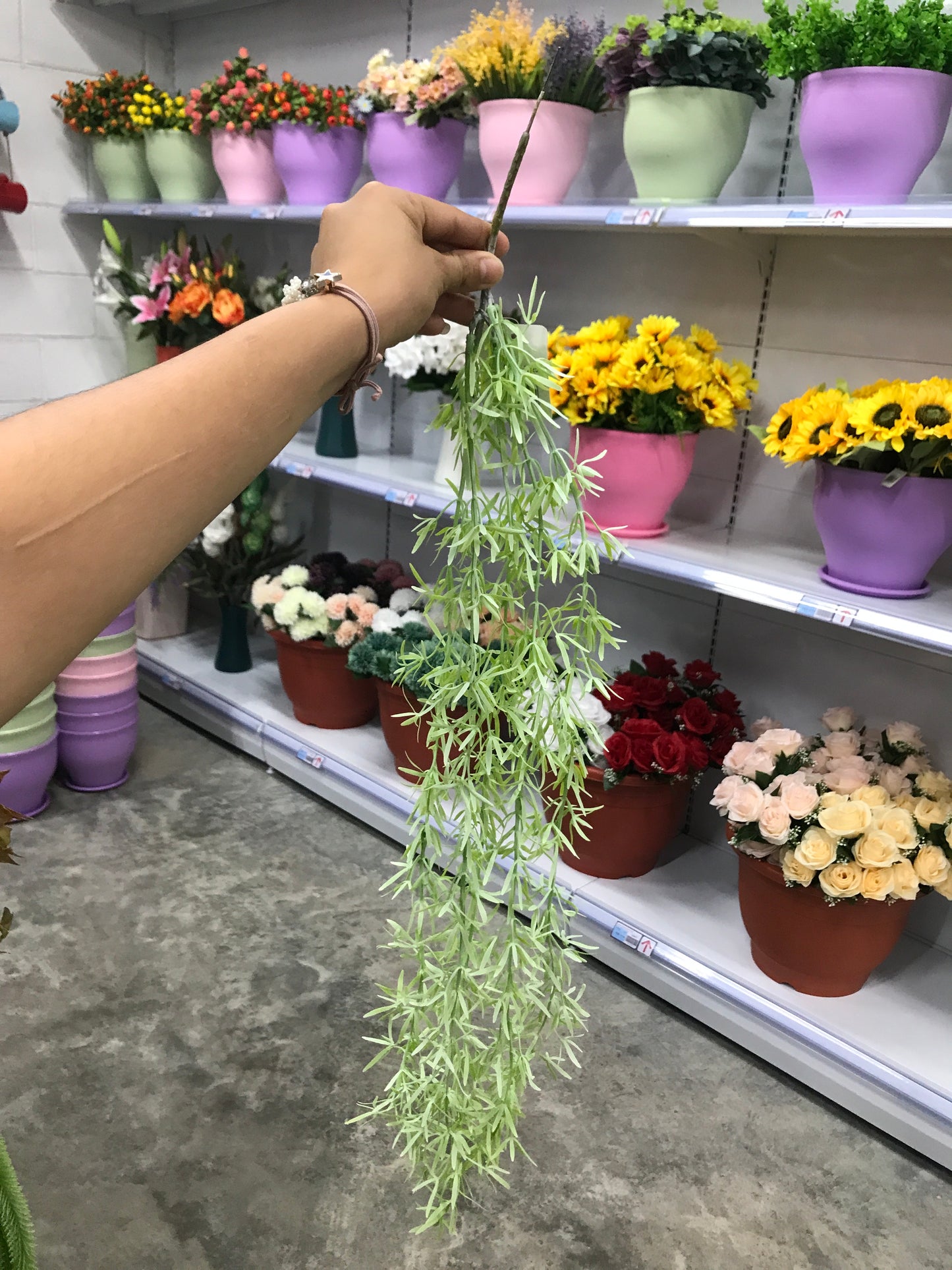 Ramas