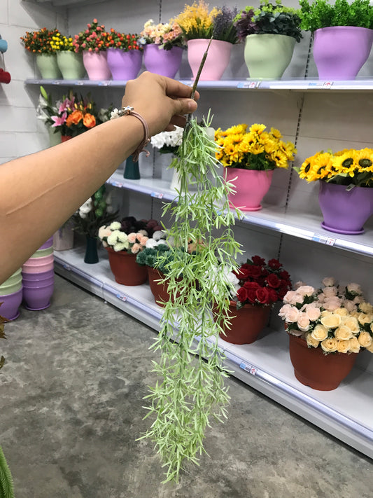 Ramas