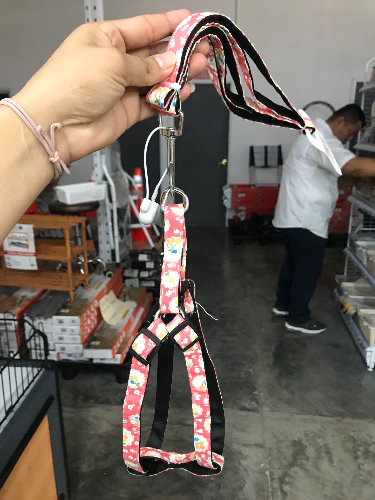 Collares para mascota