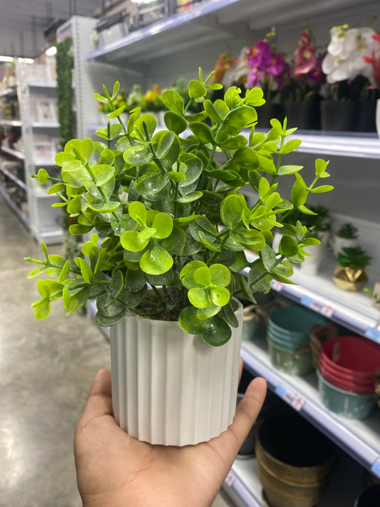 Maceta de eucalipto/Artificial