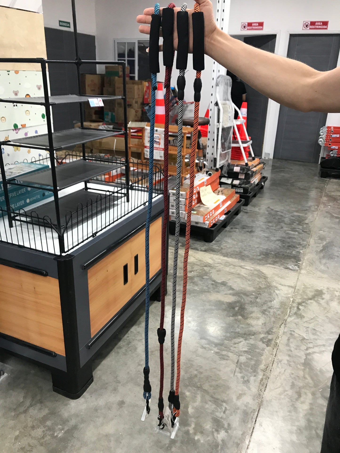 Correa para mascotas