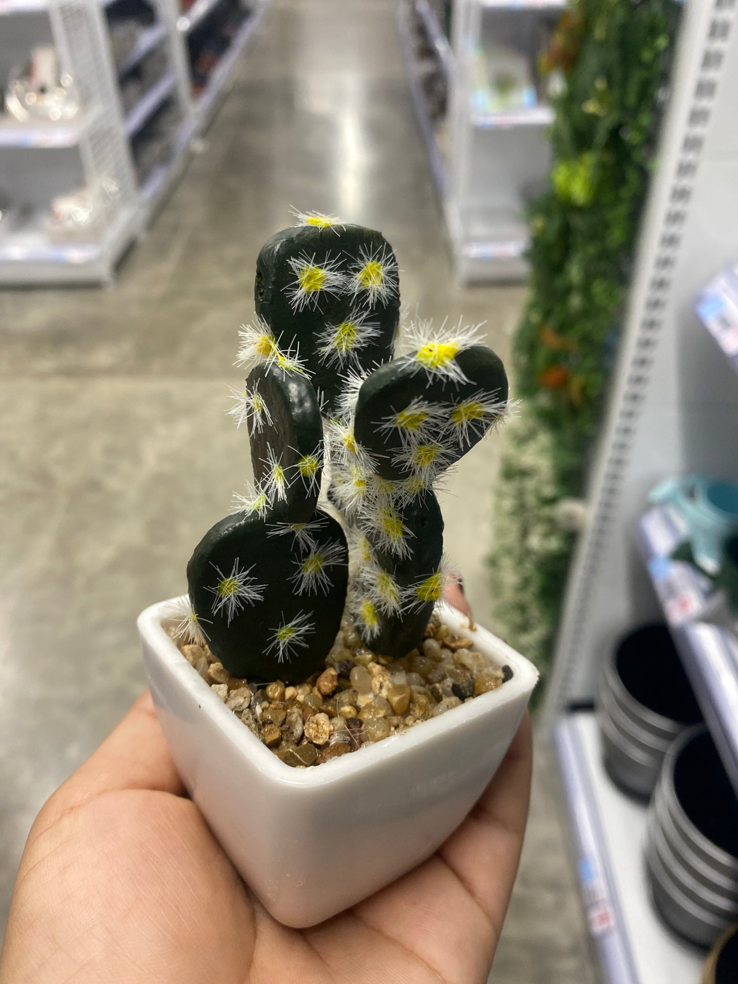 Adorno cactus/Artificial