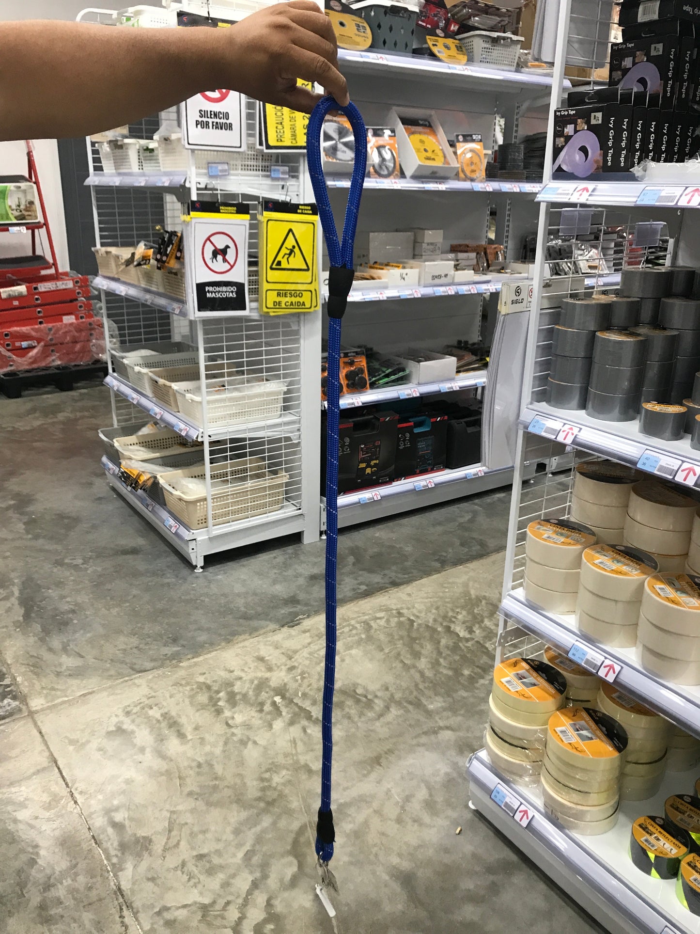 Correas para animales