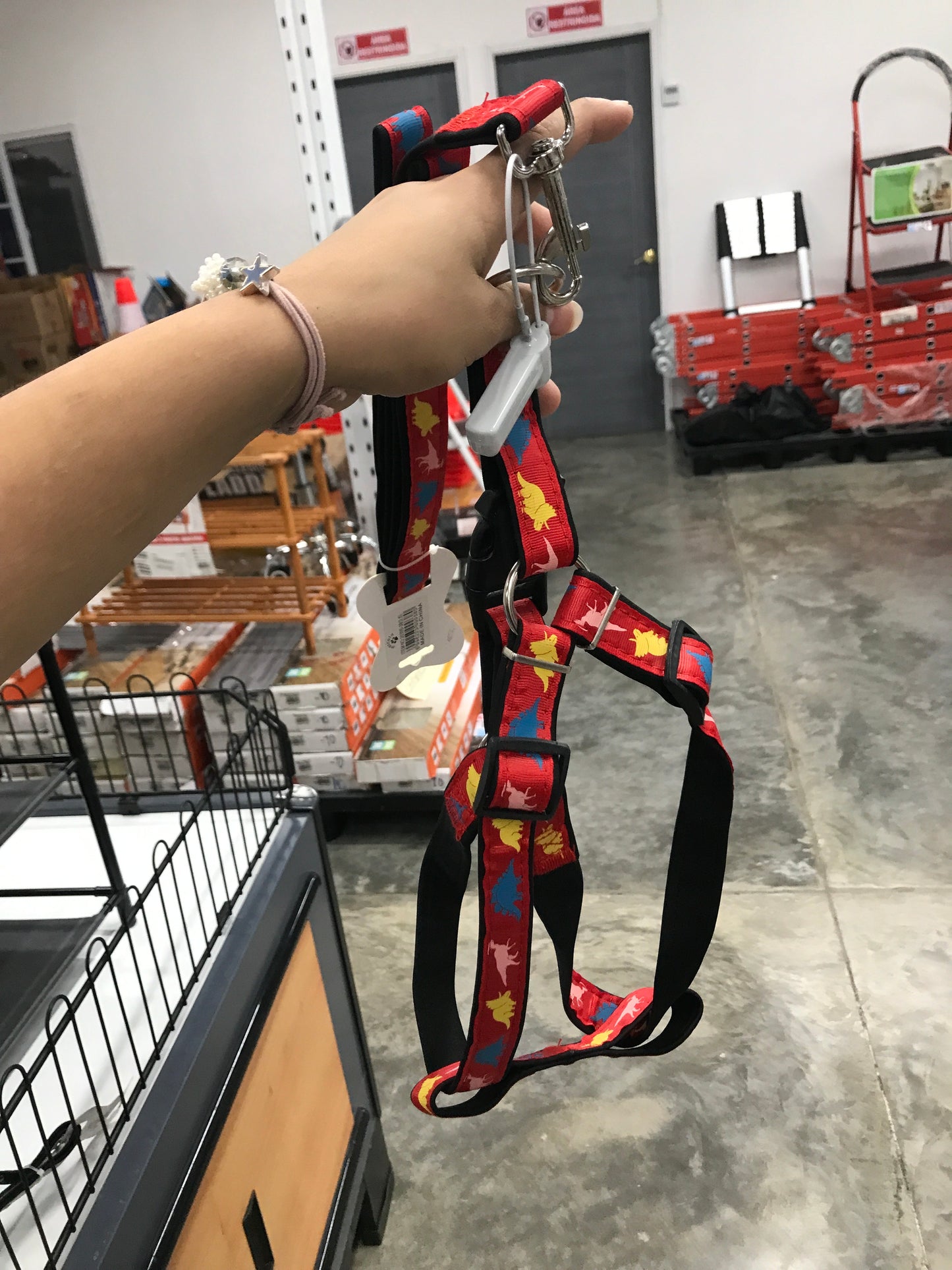 Correas para mascotas