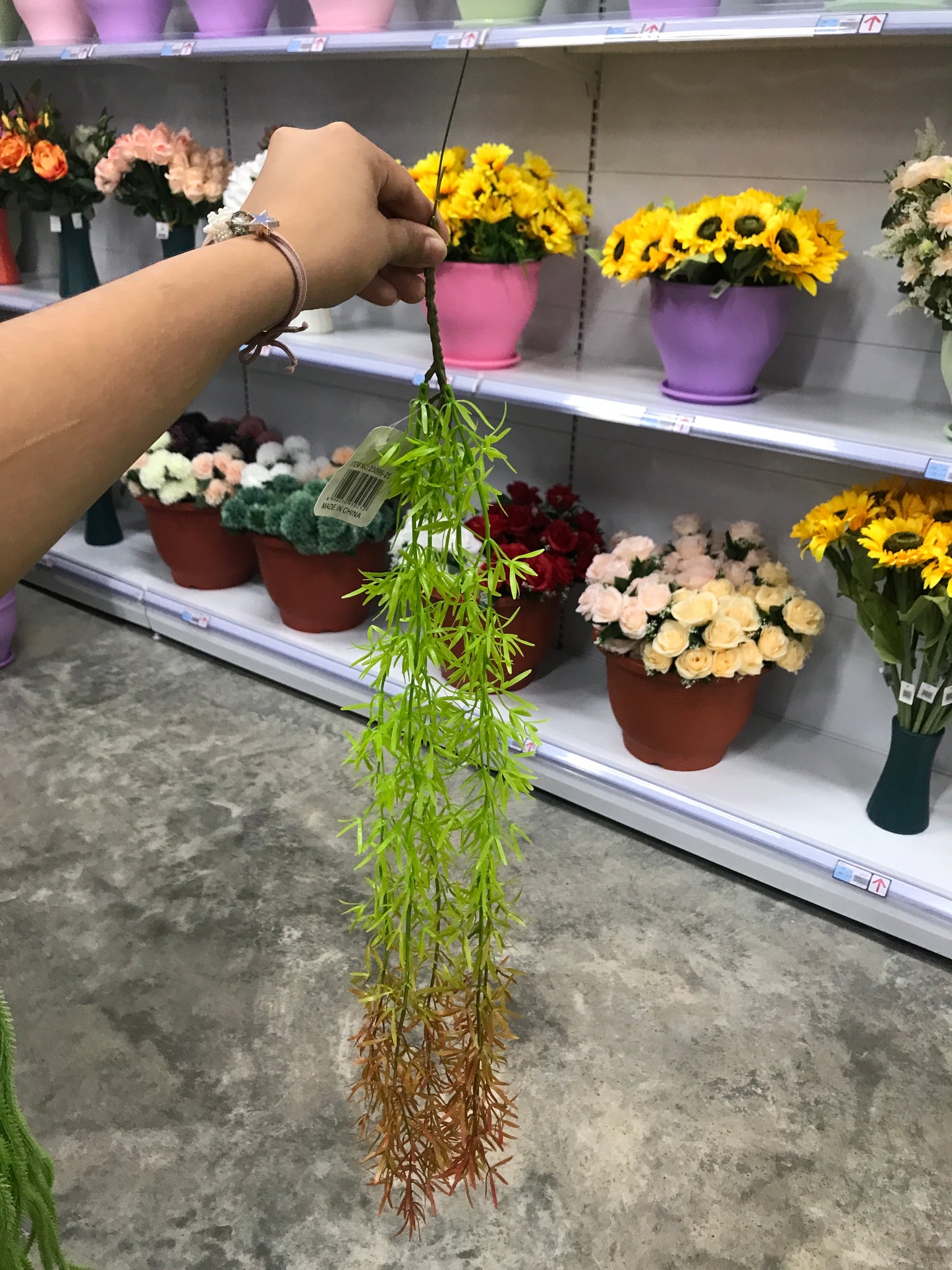 Ramas