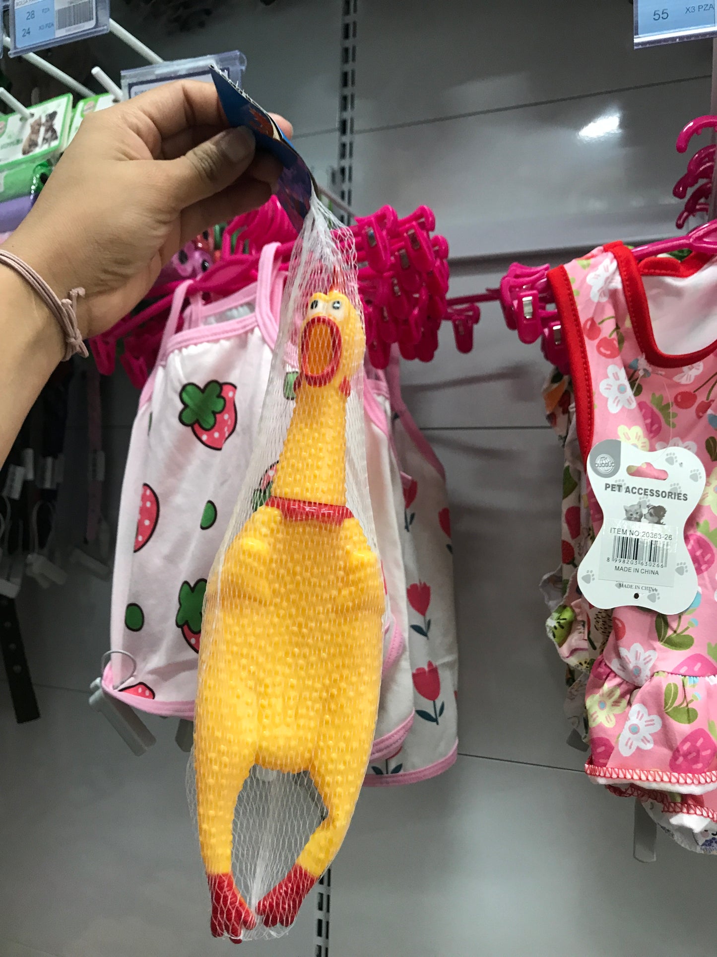 Pollo chillón