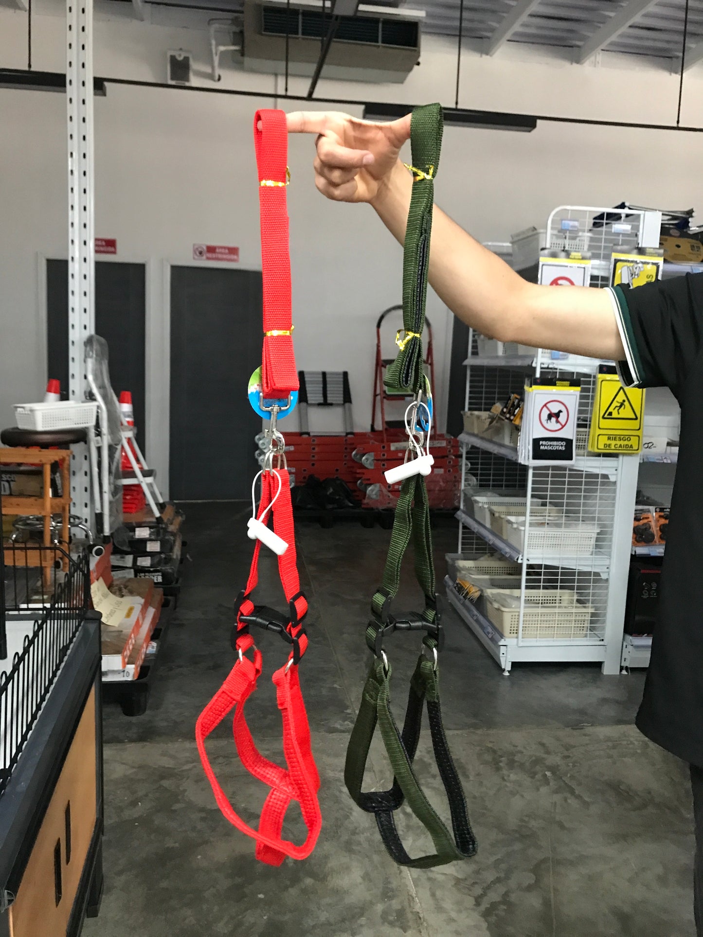 Arnés/mascota 2.5cm