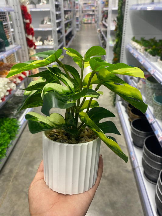 Maceta con hoja de tortuga/Artificial