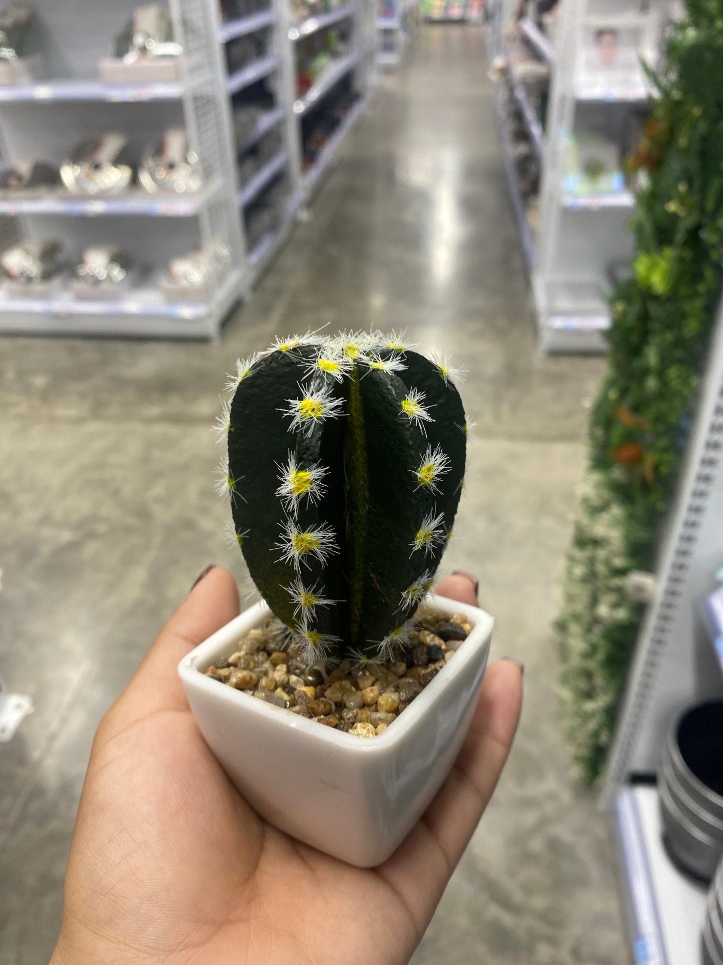 Adorno cactus/Artificial
