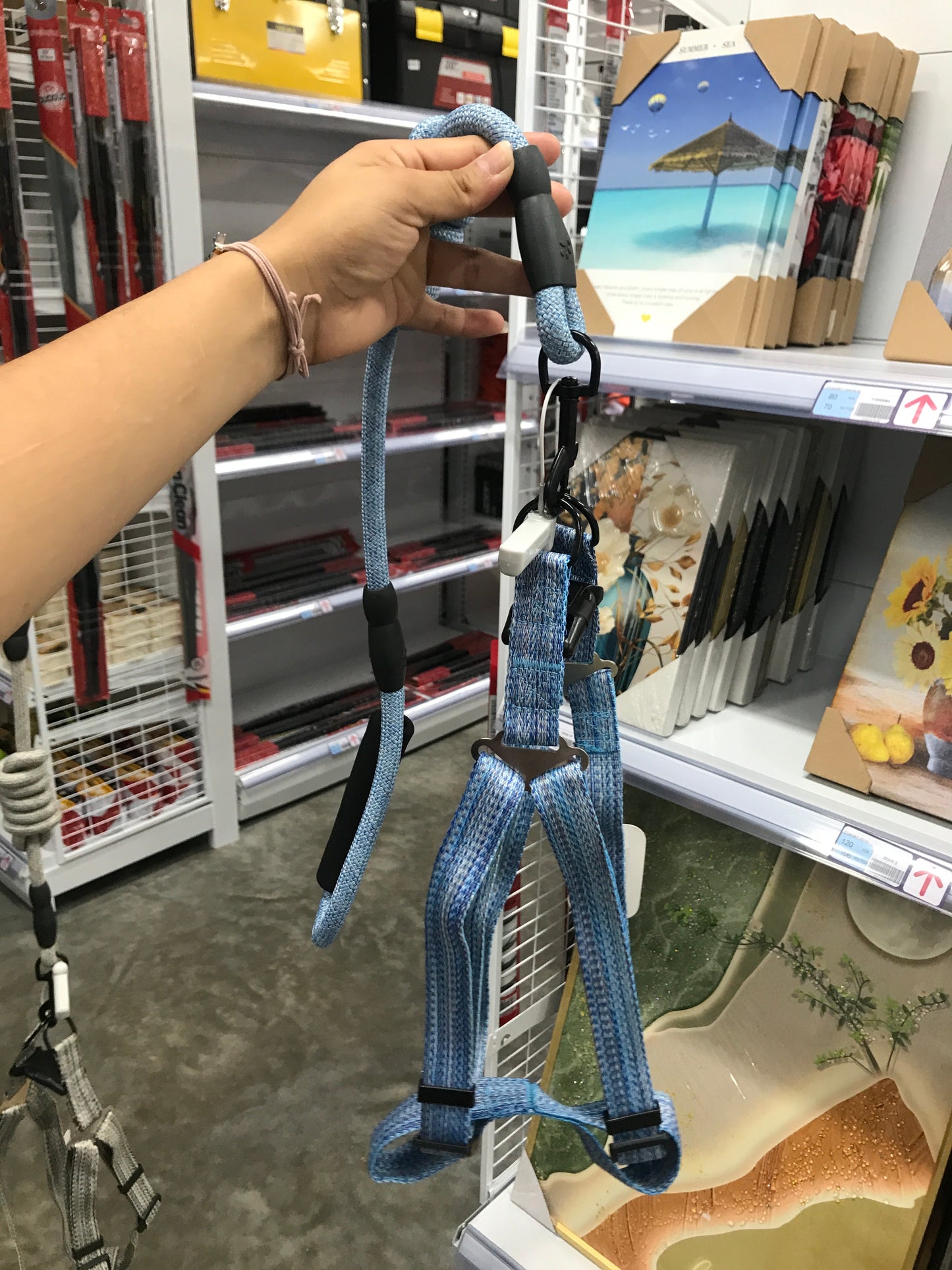 Correa para mascotas