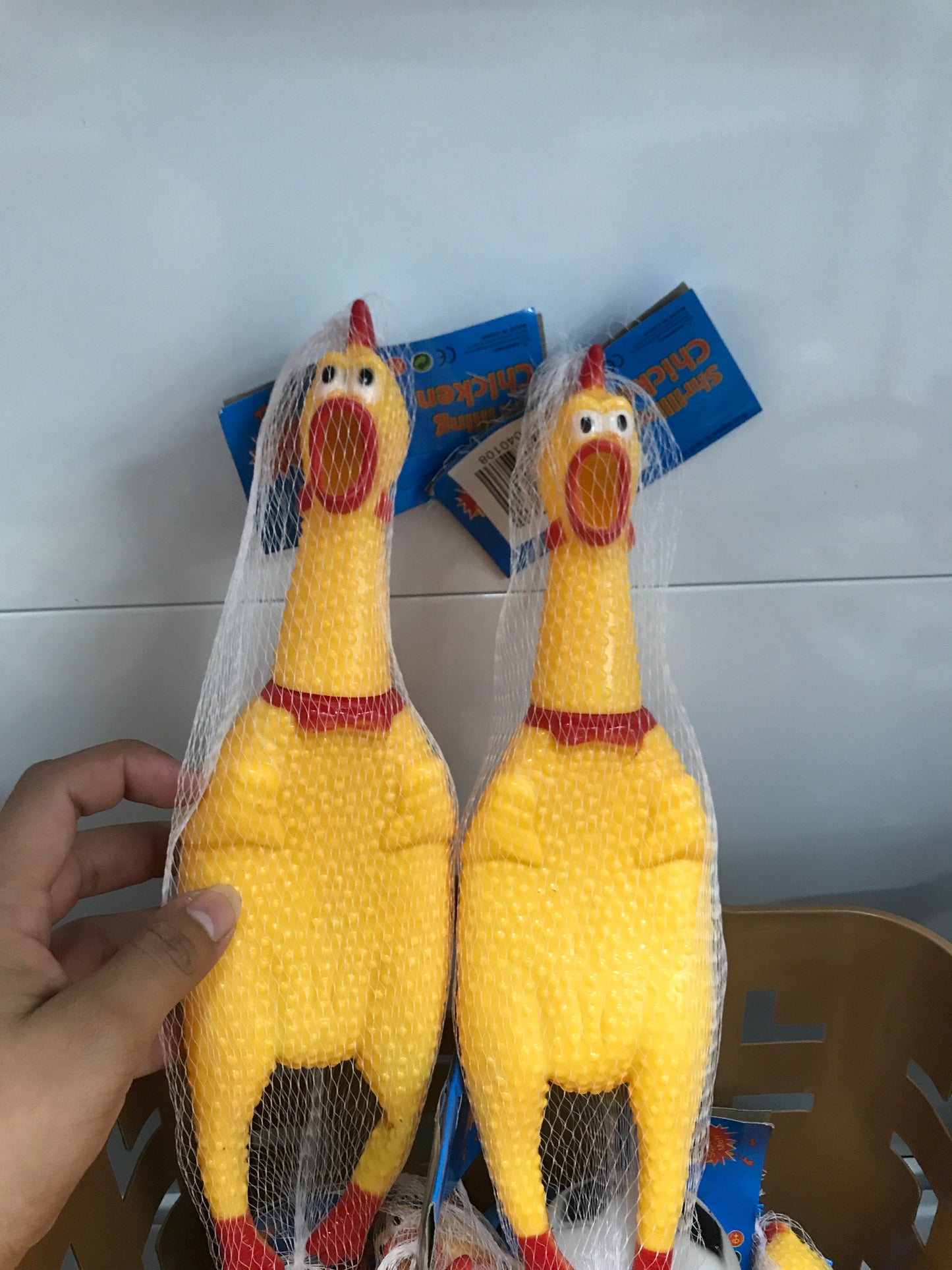 Pollo chillón