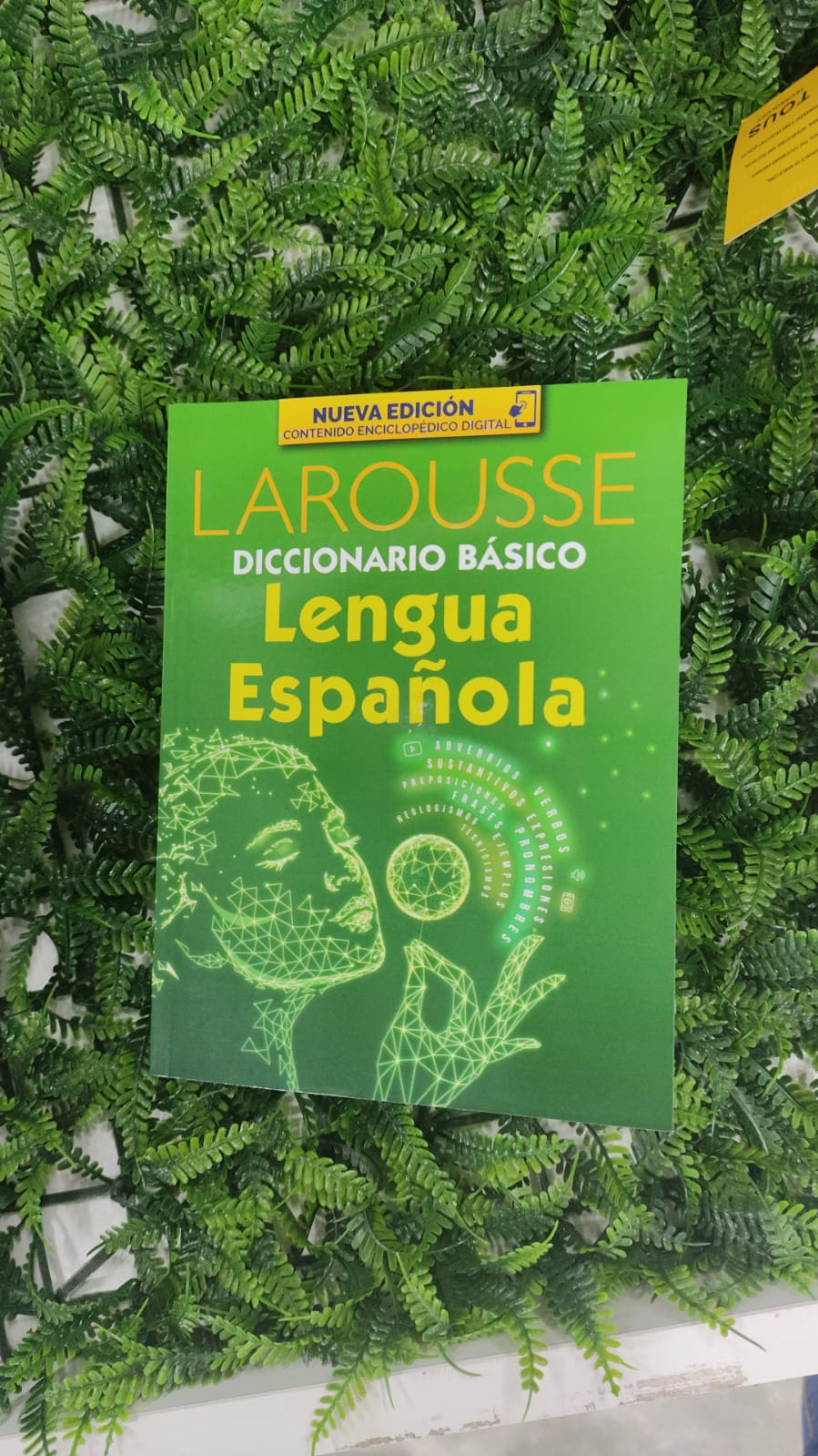 Diccionario lengua española Larousse verde