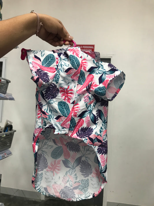 Ropa de mascotas
