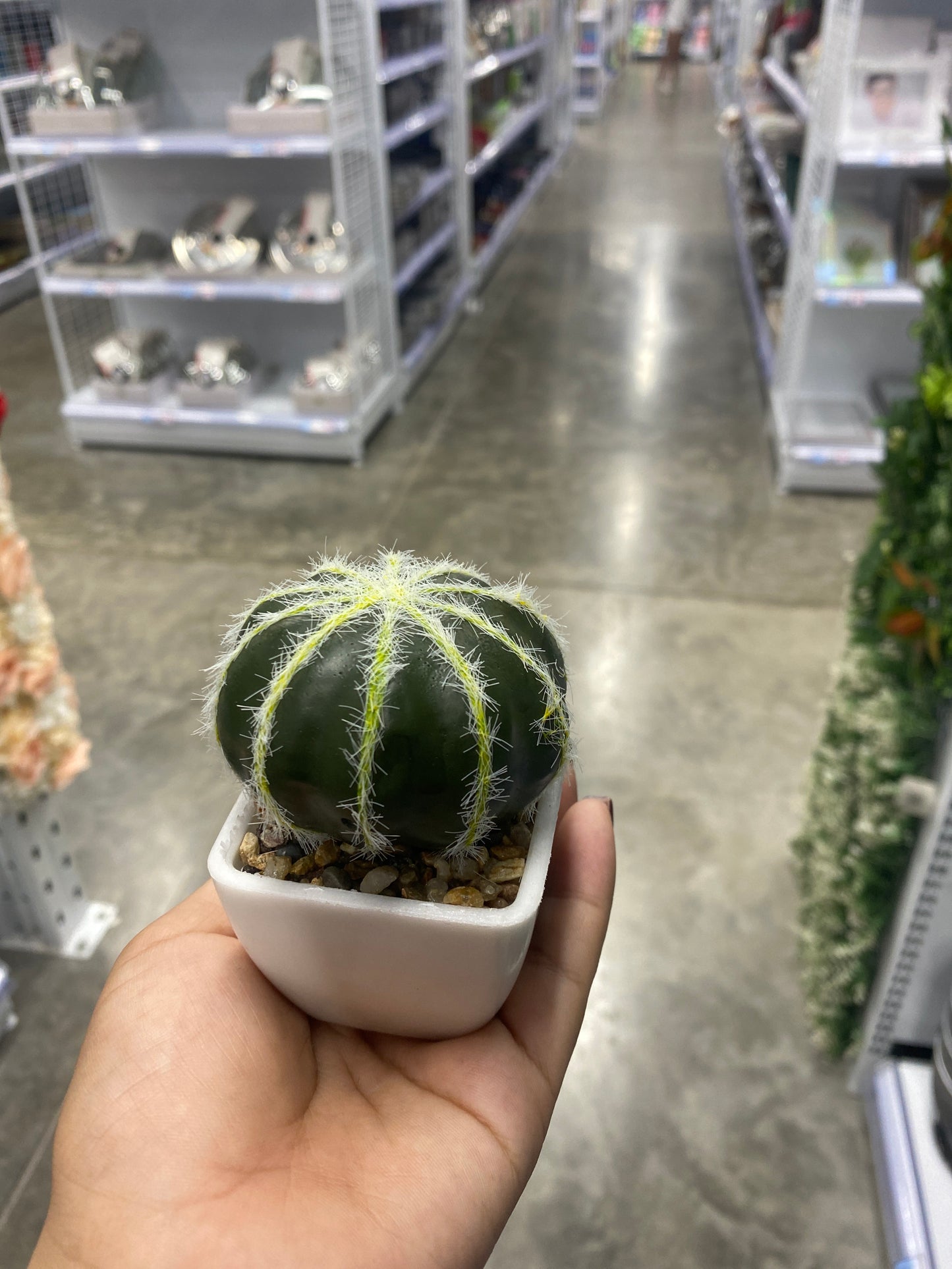 Adorno cactus/Artificial