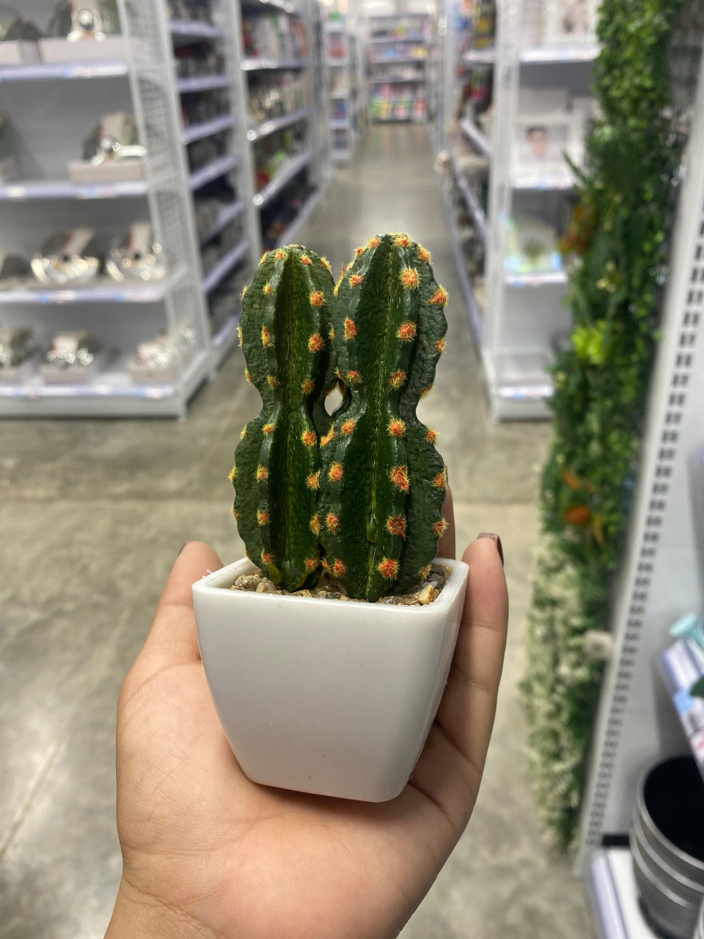 Adorno cactus/Artificial