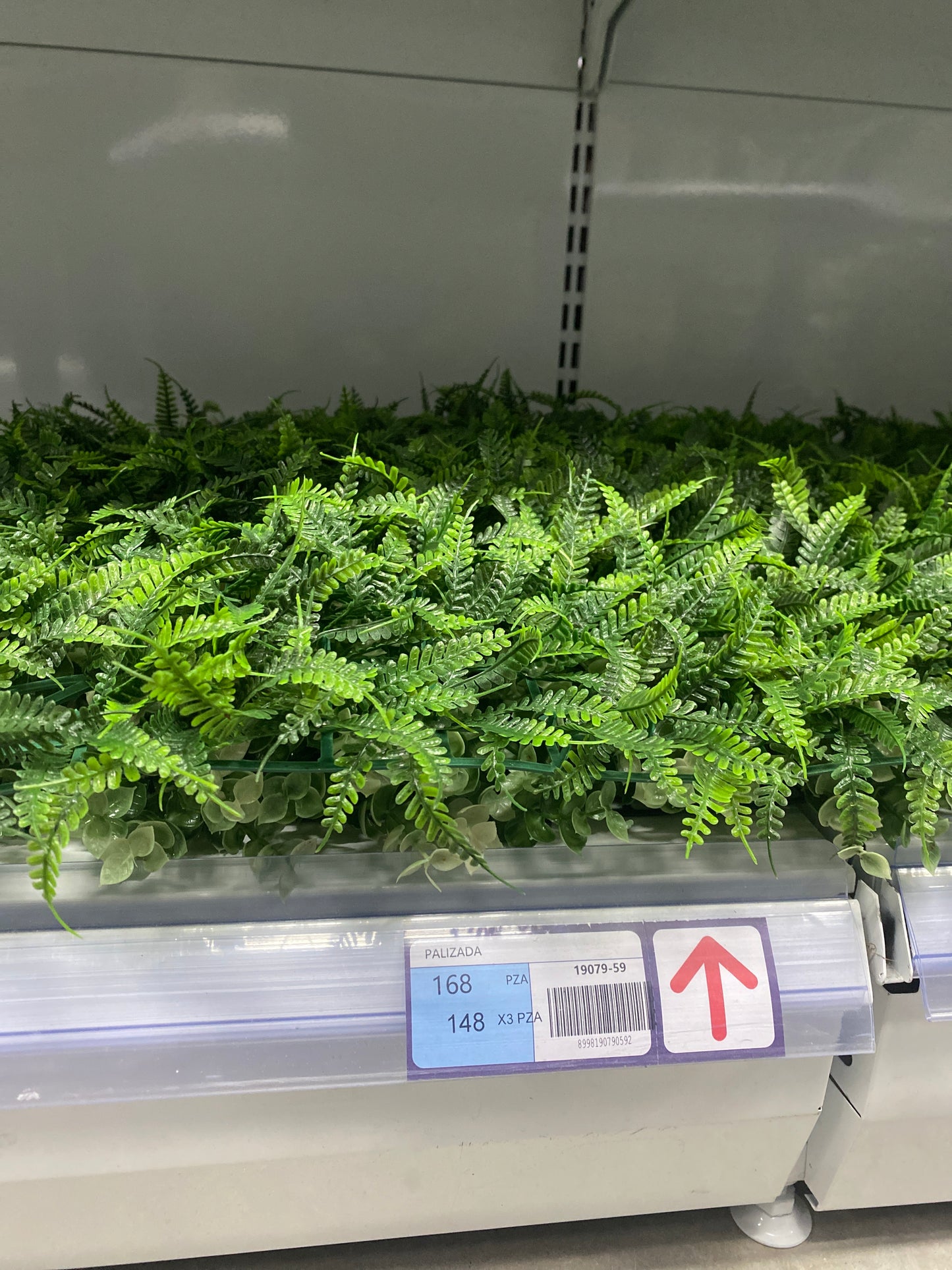 Palizadas