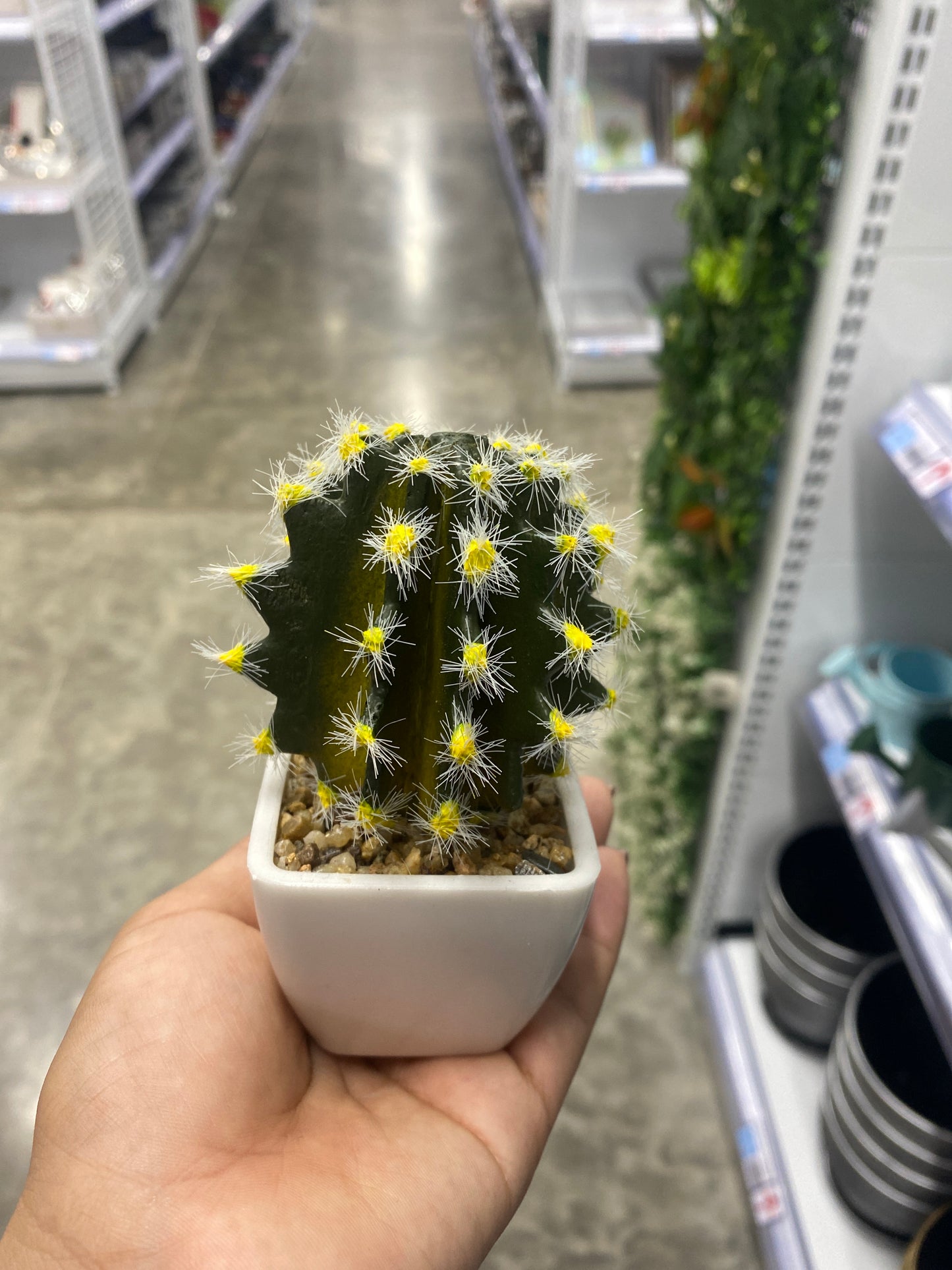 Adorno cactus/Artificial