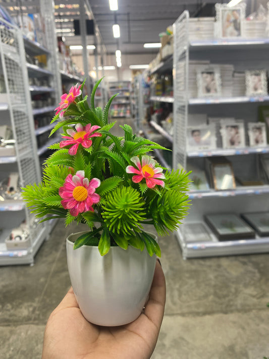 Maceta con Margarita/Artificial