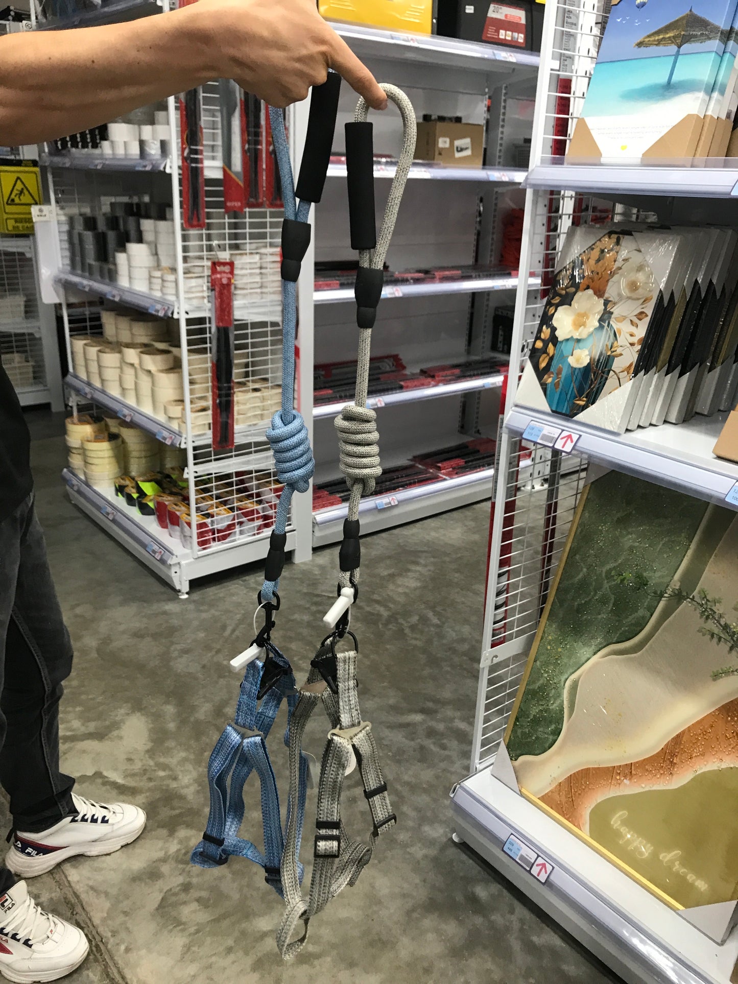 Correa para mascotas