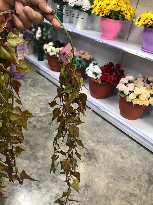 Flores