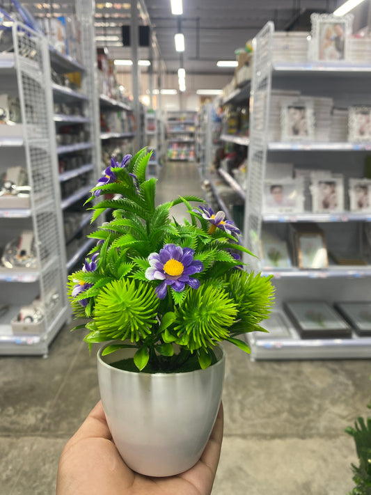 Maceta con Margarita/Artificial