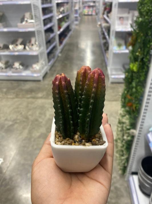 Adorno cactus/Artificial