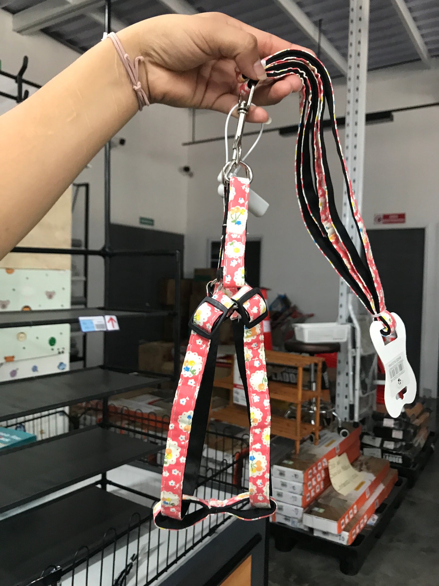 Collares para mascota