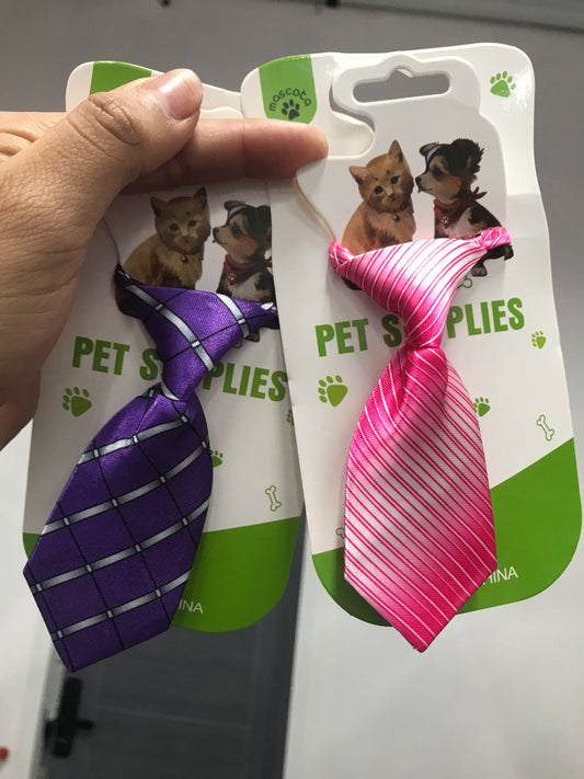 Corbata de animal