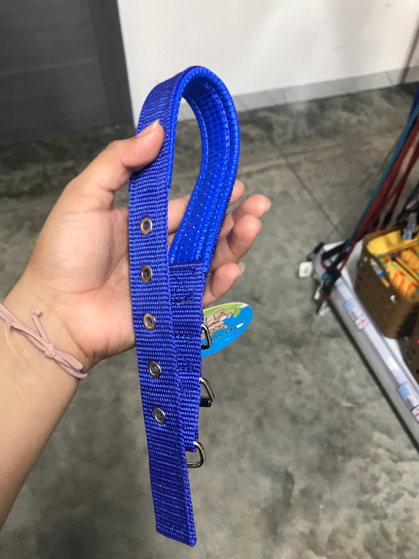 Collar/mascota 2.5cm