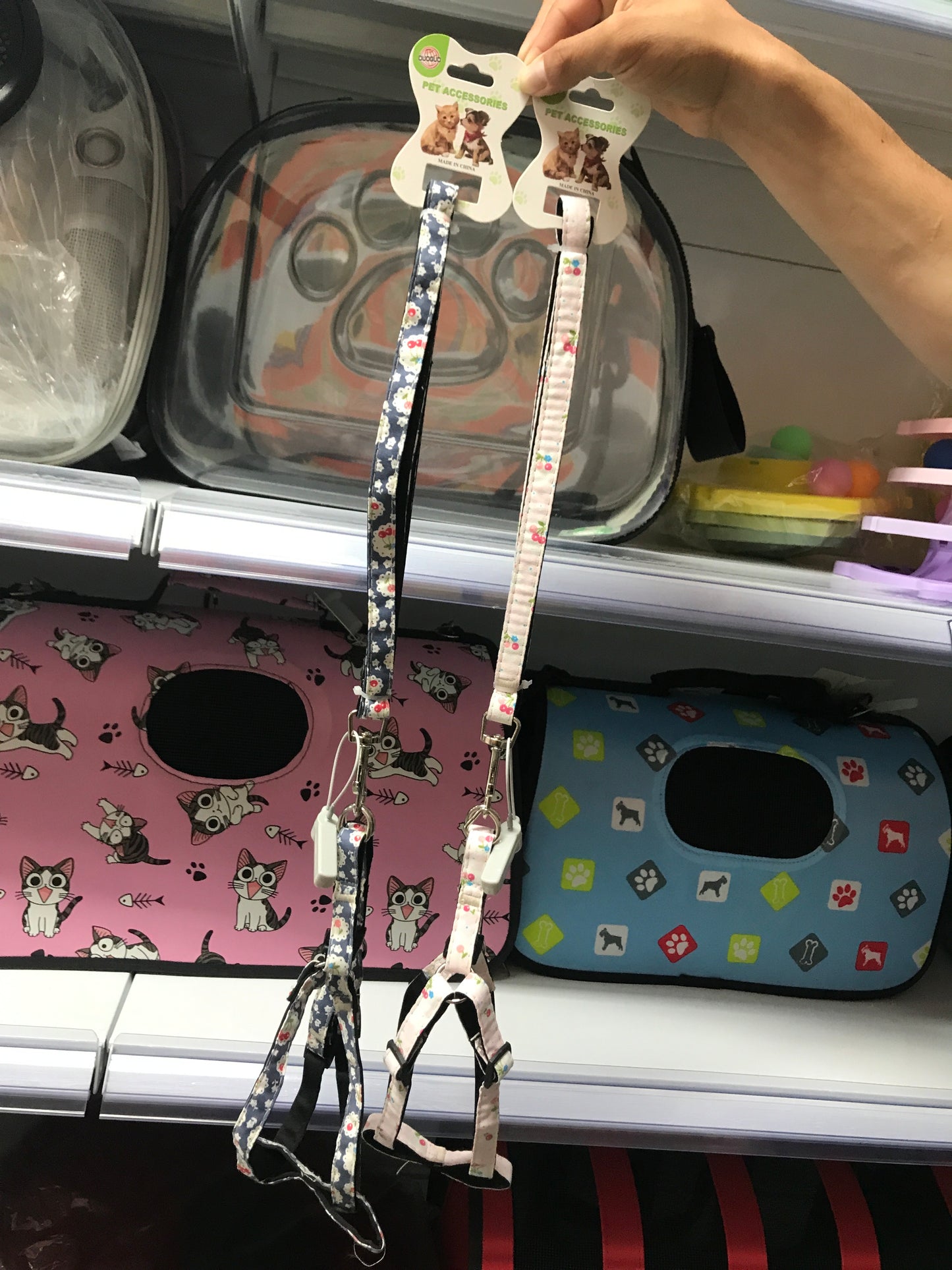 Collares para mascota