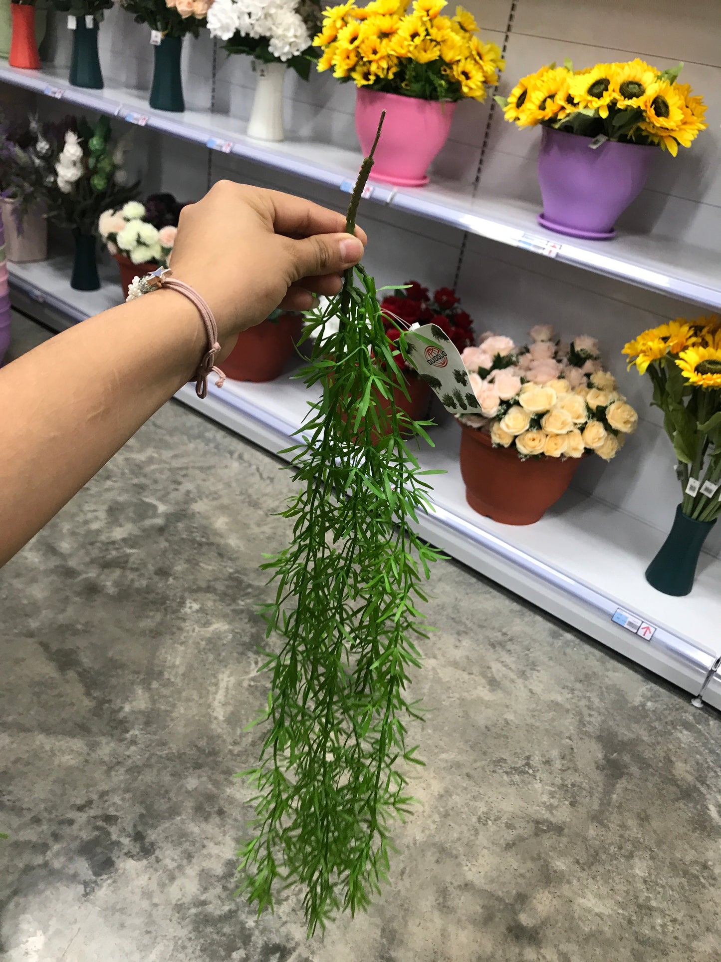 Ramas