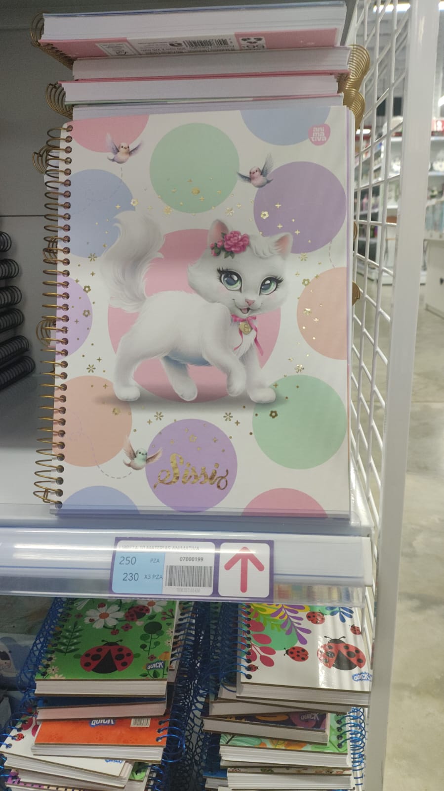 Libreta 10M Animativa