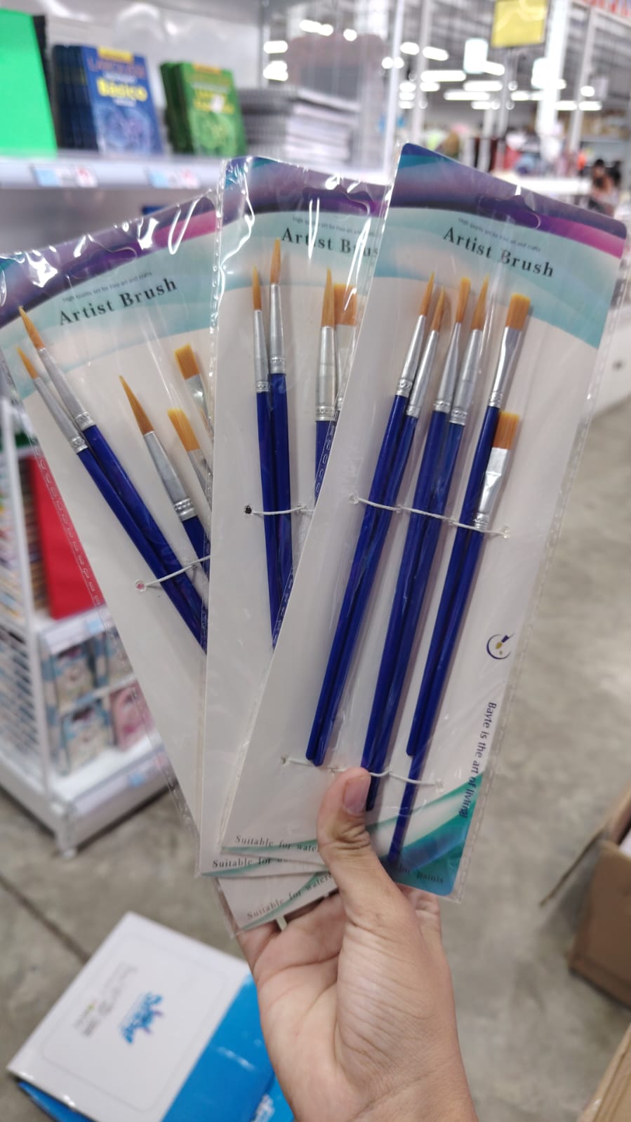 Pinceles 6 pcs