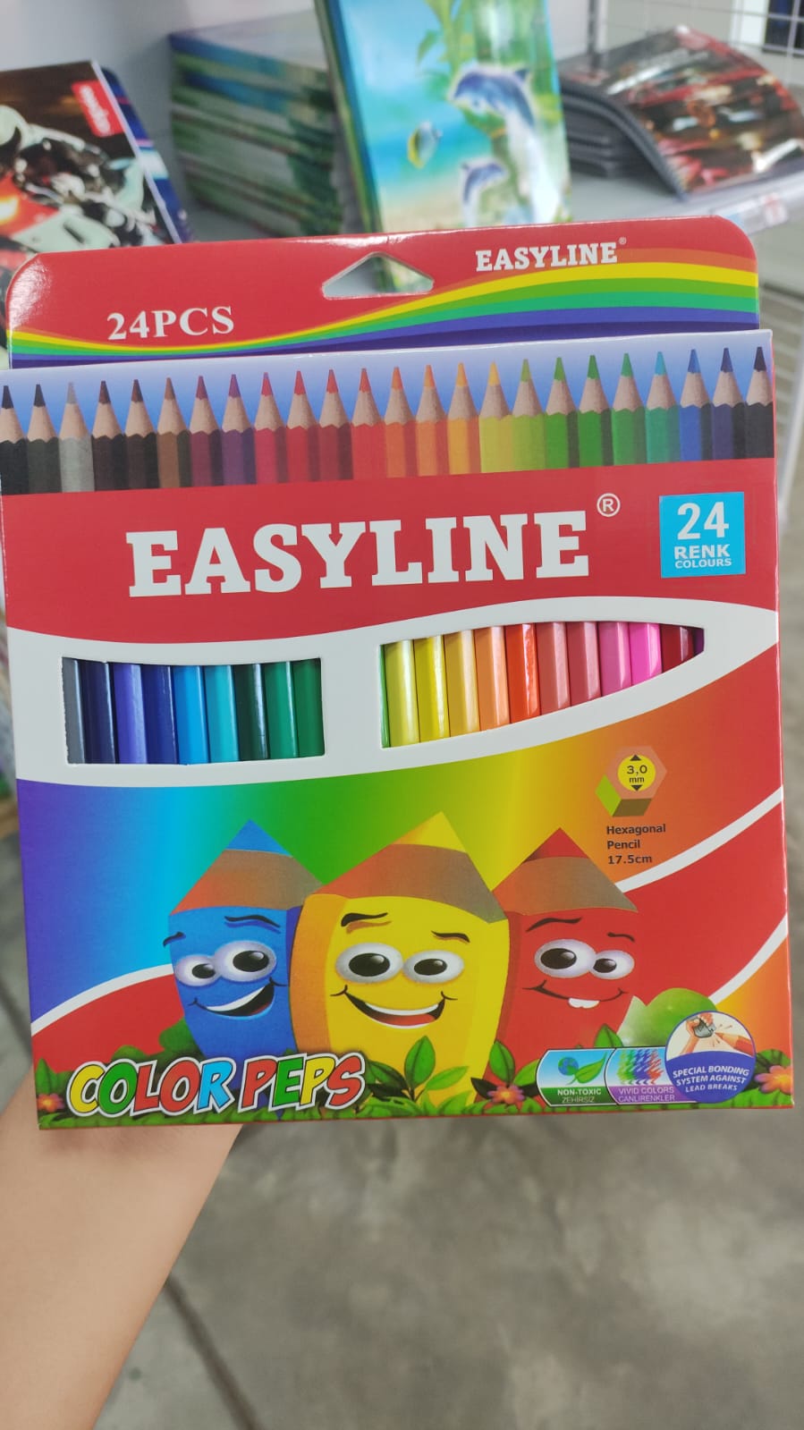 Lapiz de color 24/PC
