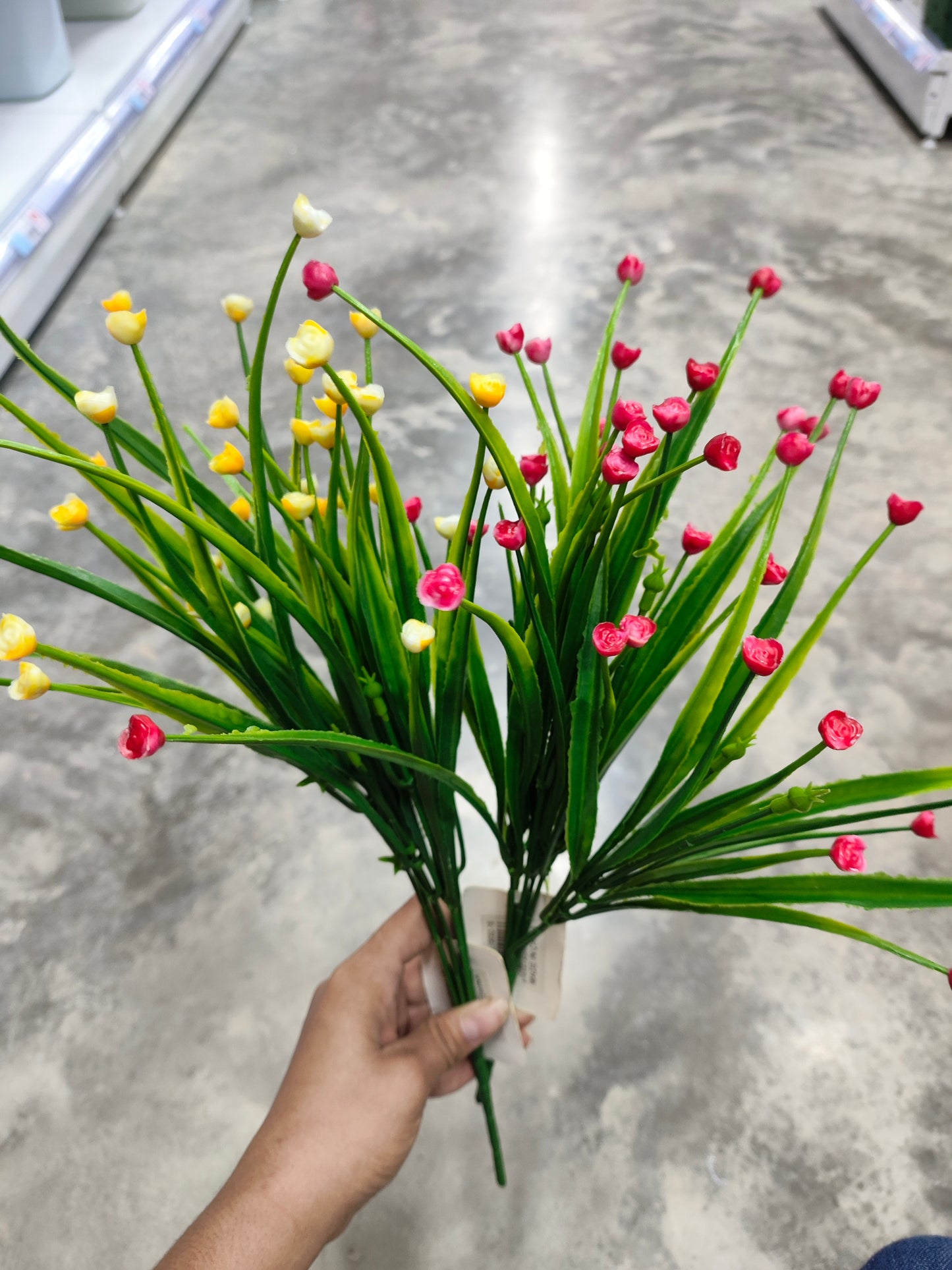 Flores