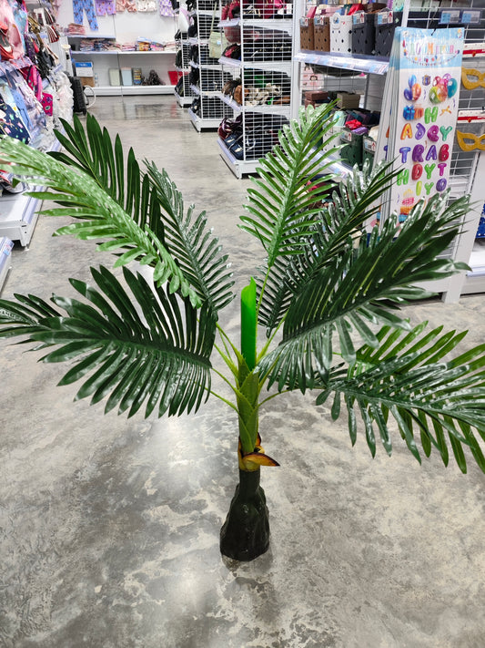 Planta palmera
