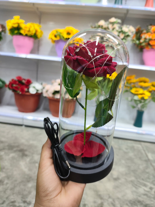 Rosa con luz