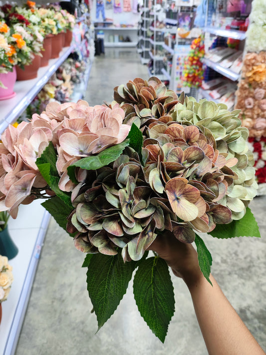 Flores