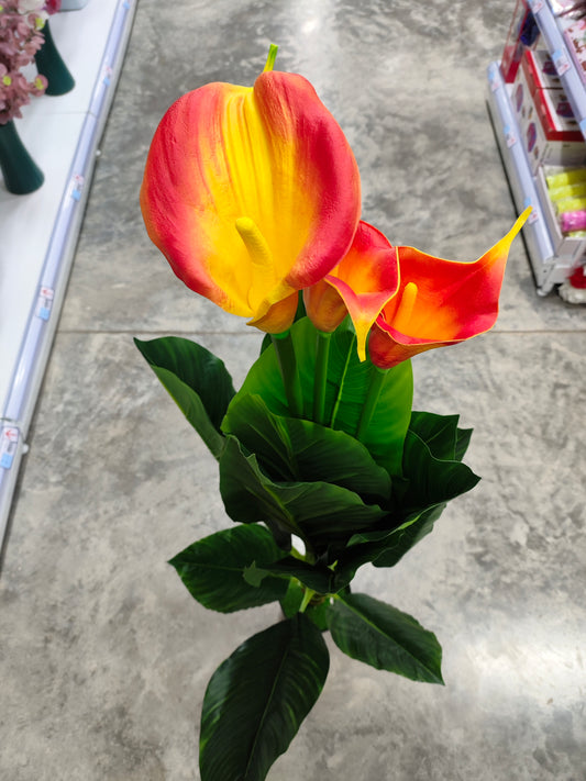 Planta 1.2M