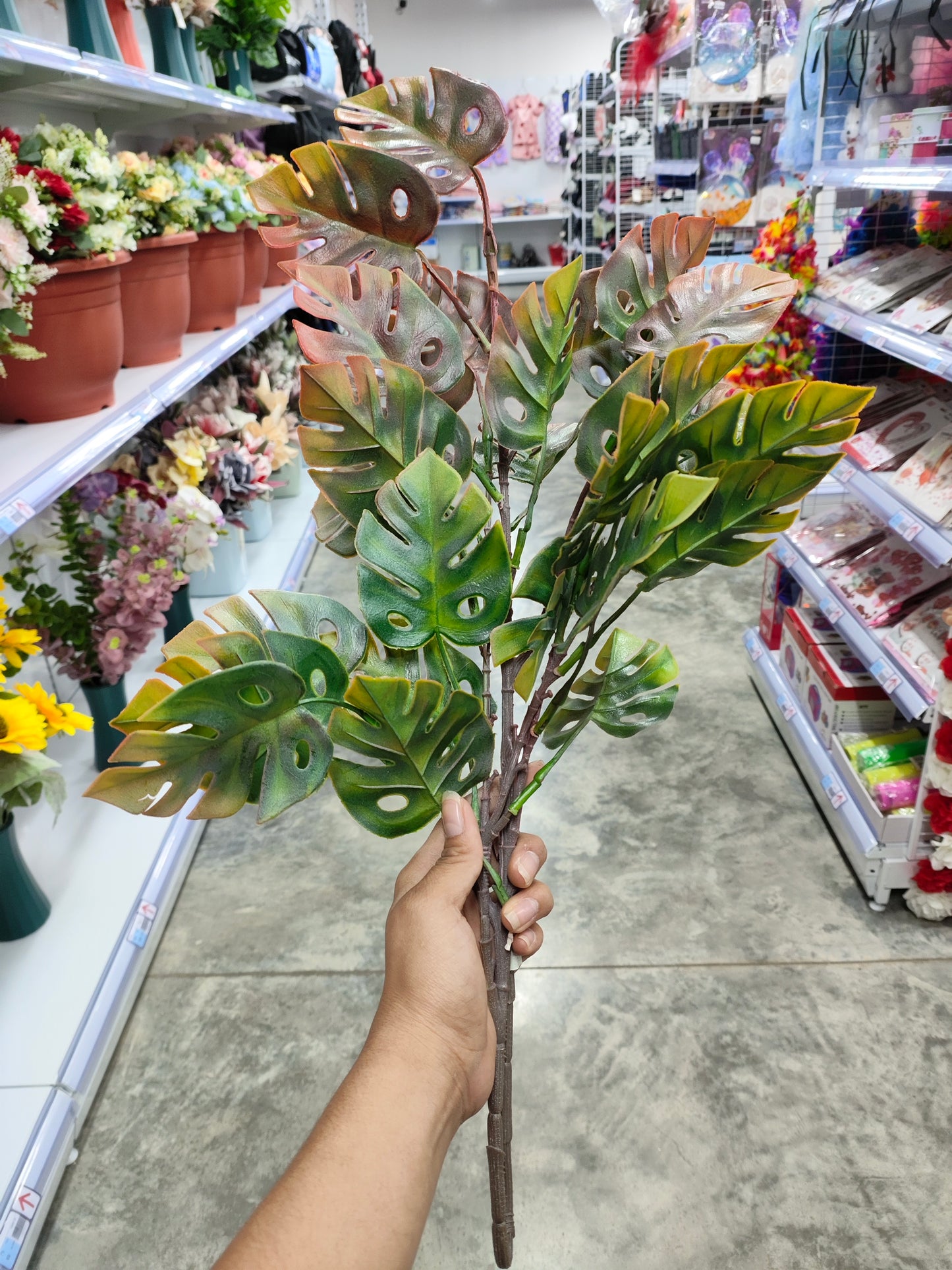 Ramas