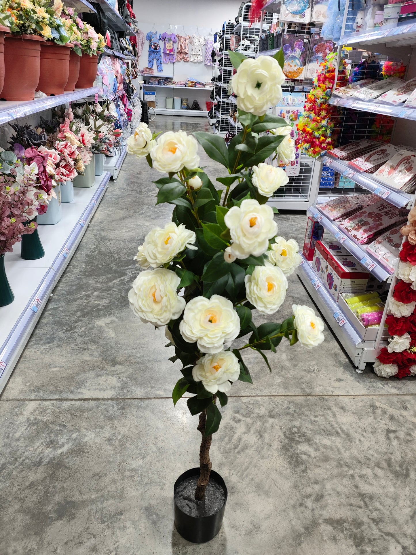 Planta 1.25M