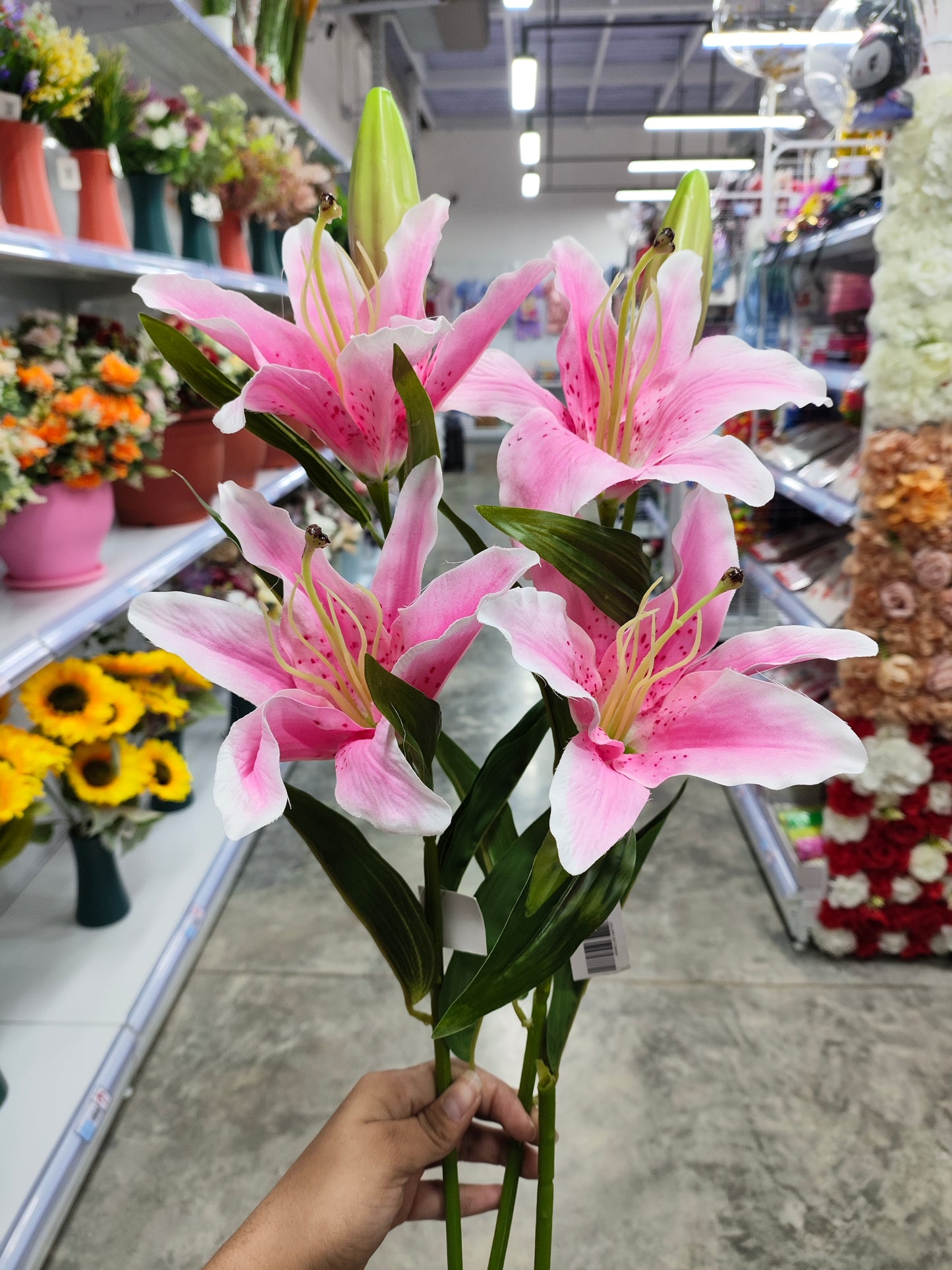 Flores
