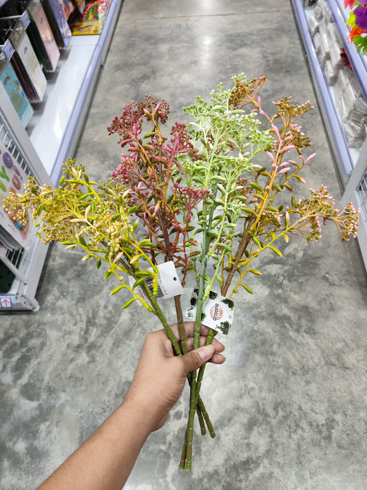 Ramas