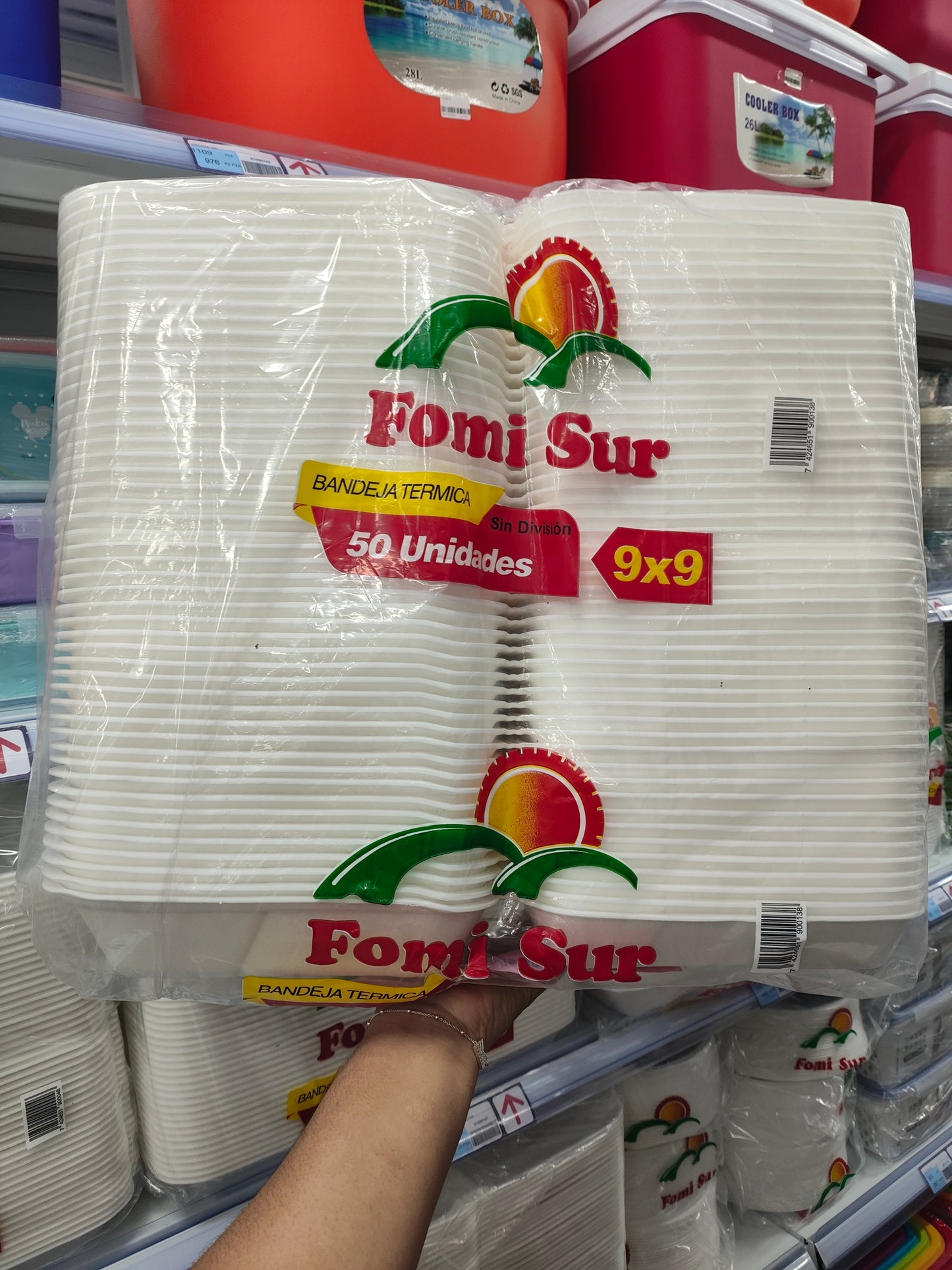 Bandeja Termico De 9x9 Lisa.