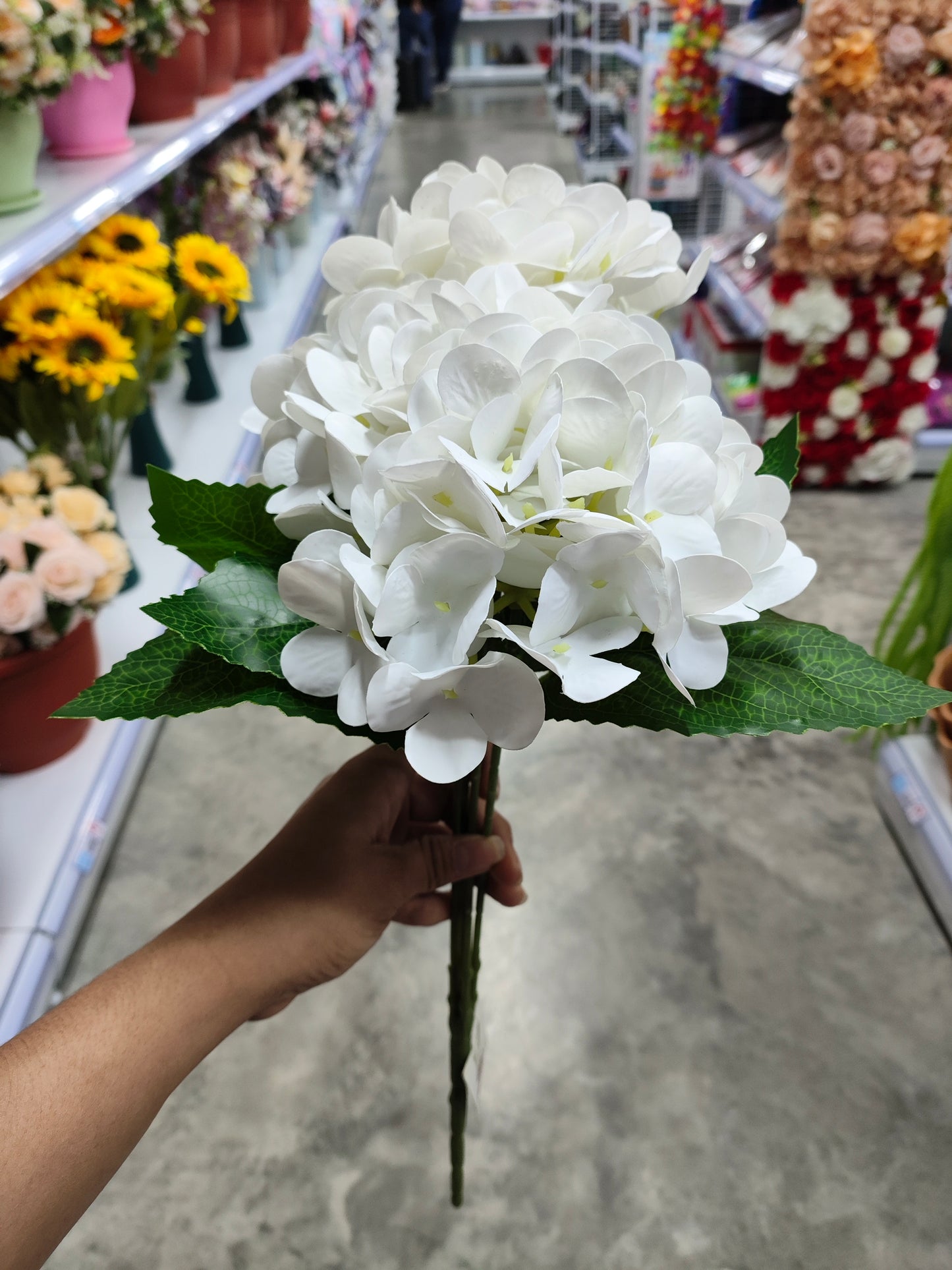 Flores