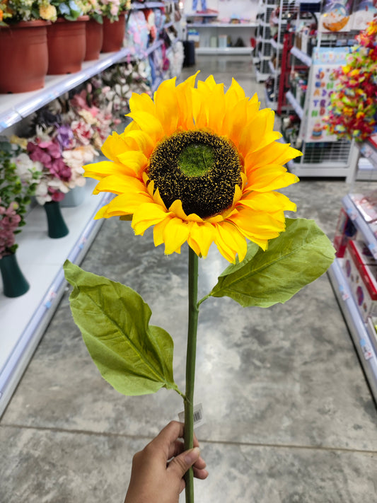 Flores girasol