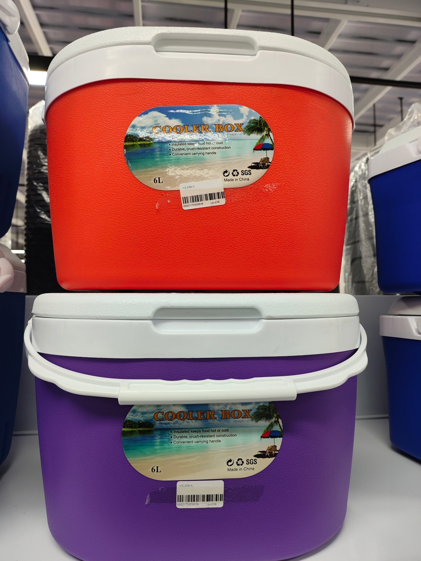 Hielera 6L