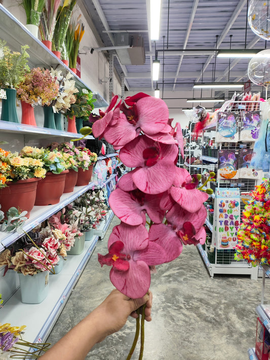 Flores