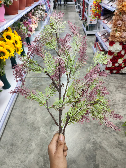 Ramas