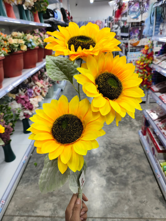 Flores Girasol